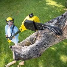 Trusted Hudson, IL Tree Removal and Landscaping Services Experts